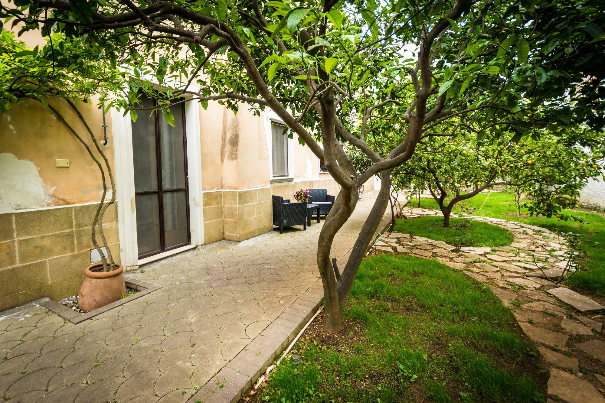 Agrumeto degli Angeli Brindisi Esterno foto